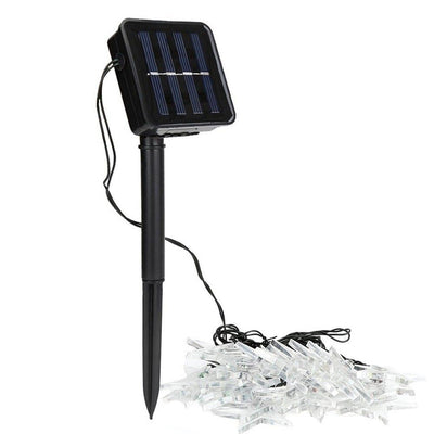 https://cdn.shopify.com/s/files/1/0271/8731/4772/products/product-image-1190264758.jpg?v=1584822336