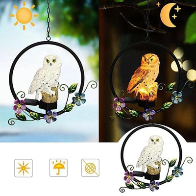 https://cdn.shopify.com/s/files/1/0271/8731/4772/products/product-image-1214606097.jpg?v=1584822301