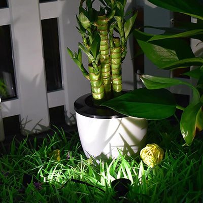 https://cdn.shopify.com/s/files/1/0271/8731/4772/products/product-image-1453525518.jpg?v=1593534049