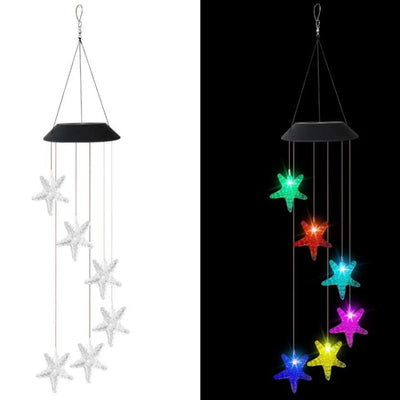 https://cdn.shopify.com/s/files/1/0271/8731/4772/products/product-image-1479715505.jpg?v=1600352165