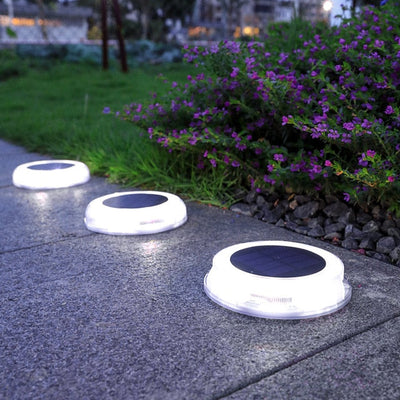 https://cdn.shopify.com/s/files/1/0271/8731/4772/products/product-image-1506727091.jpg?v=1598284486