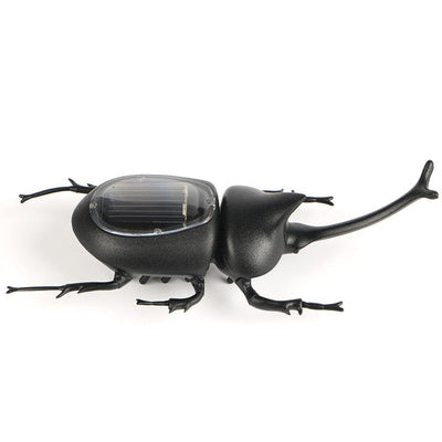 https://cdn.shopify.com/s/files/1/0271/8731/4772/products/product-image-431442460.jpg?v=1584822319