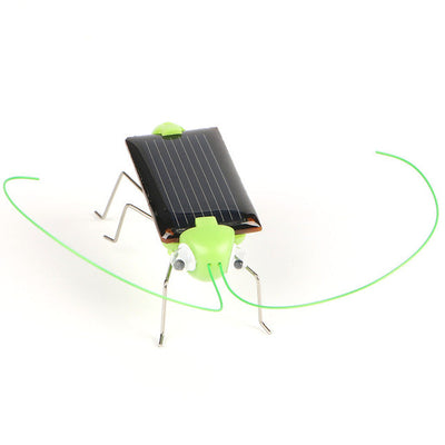 https://cdn.shopify.com/s/files/1/0271/8731/4772/products/product-image-431442461.jpg?v=1584822315