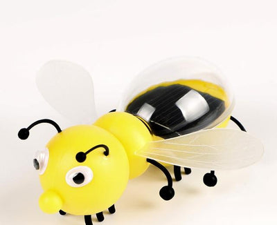 https://cdn.shopify.com/s/files/1/0271/8731/4772/products/product-image-431442469.jpg?v=1584822312