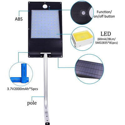 https://cdn.shopify.com/s/files/1/0271/8731/4772/products/product-image-803597012.jpg?v=1597672485