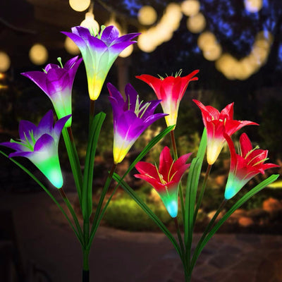https://cdn.shopify.com/s/files/1/0271/8731/4772/products/product-image-843892943.jpg?v=1584822708
