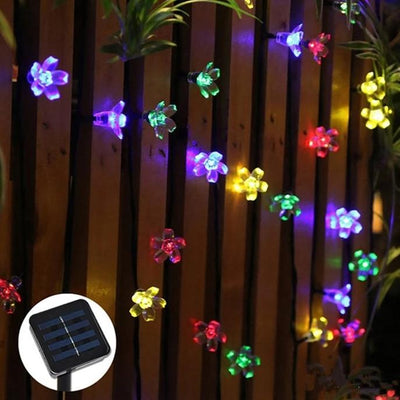 https://cdn.shopify.com/s/files/1/0271/8731/4772/products/product-image-862740035.jpg?v=1584822395