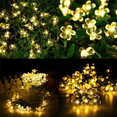 https://cdn.shopify.com/s/files/1/0271/8731/4772/products/product-image-862740037.jpg?v=1584822395