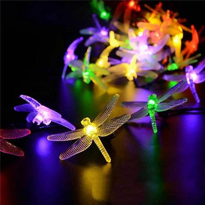 https://cdn.shopify.com/s/files/1/0271/8731/4772/products/product-image-903556626.jpg?v=1584822463