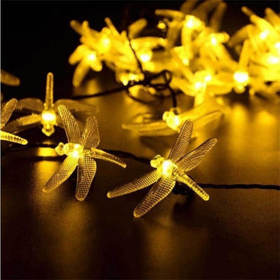 https://cdn.shopify.com/s/files/1/0271/8731/4772/products/product-image-903556628.jpg?v=1584822464
