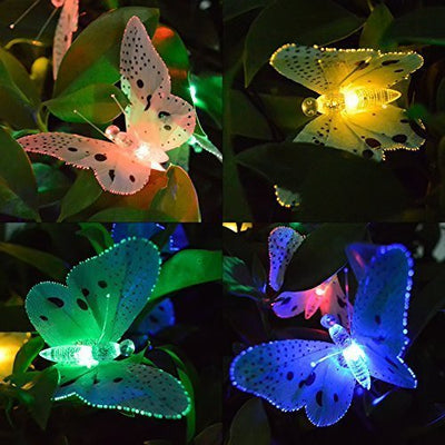 https://cdn.shopify.com/s/files/1/0271/8731/4772/products/product-image-931616560.jpg?v=1584822311