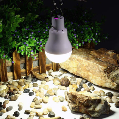 https://cdn.shopify.com/s/files/1/0271/8731/4772/products/product-image-977821915.jpg?v=1584822257
