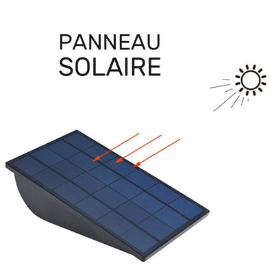 https://www.magic-solaire.com/wp-content/uploads/2020/05/projecteur-solaire-grande-autonomie-detecteur-de-mouvement.jpg