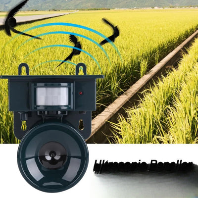 Répulsif d'oiseaux ultrason solaire en situation dans un champ