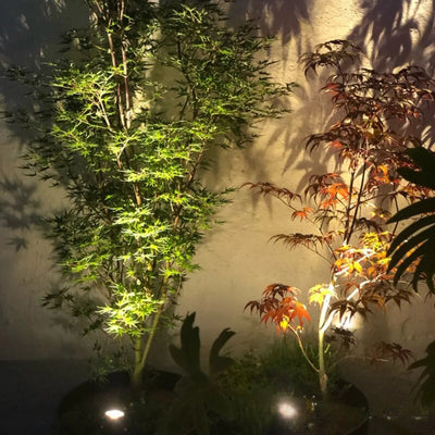 Spots solaires lumière jaune éclairant des arbres la nuit
