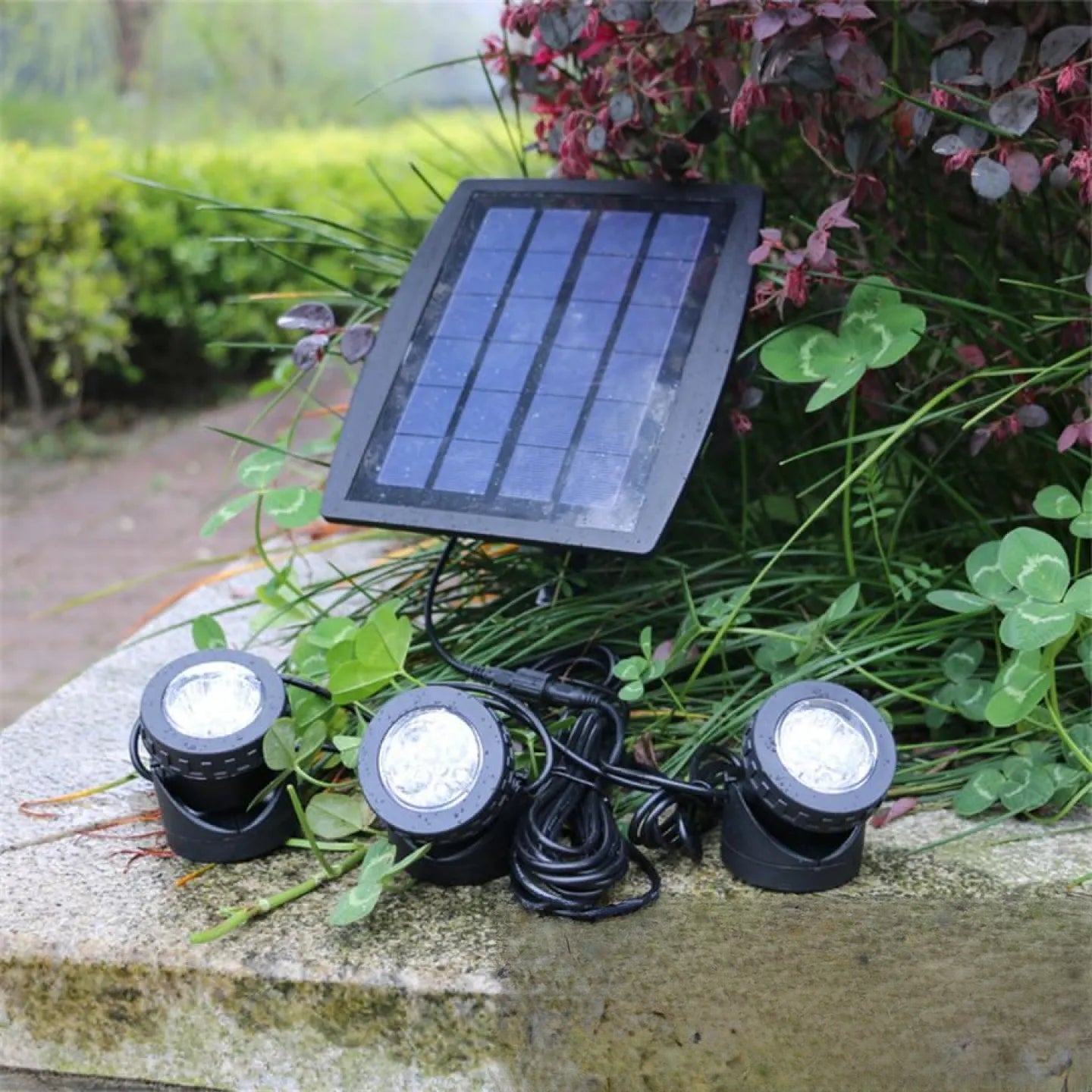 Spot Solaire RGB Immergeable Lumière Couleur pour Bassin