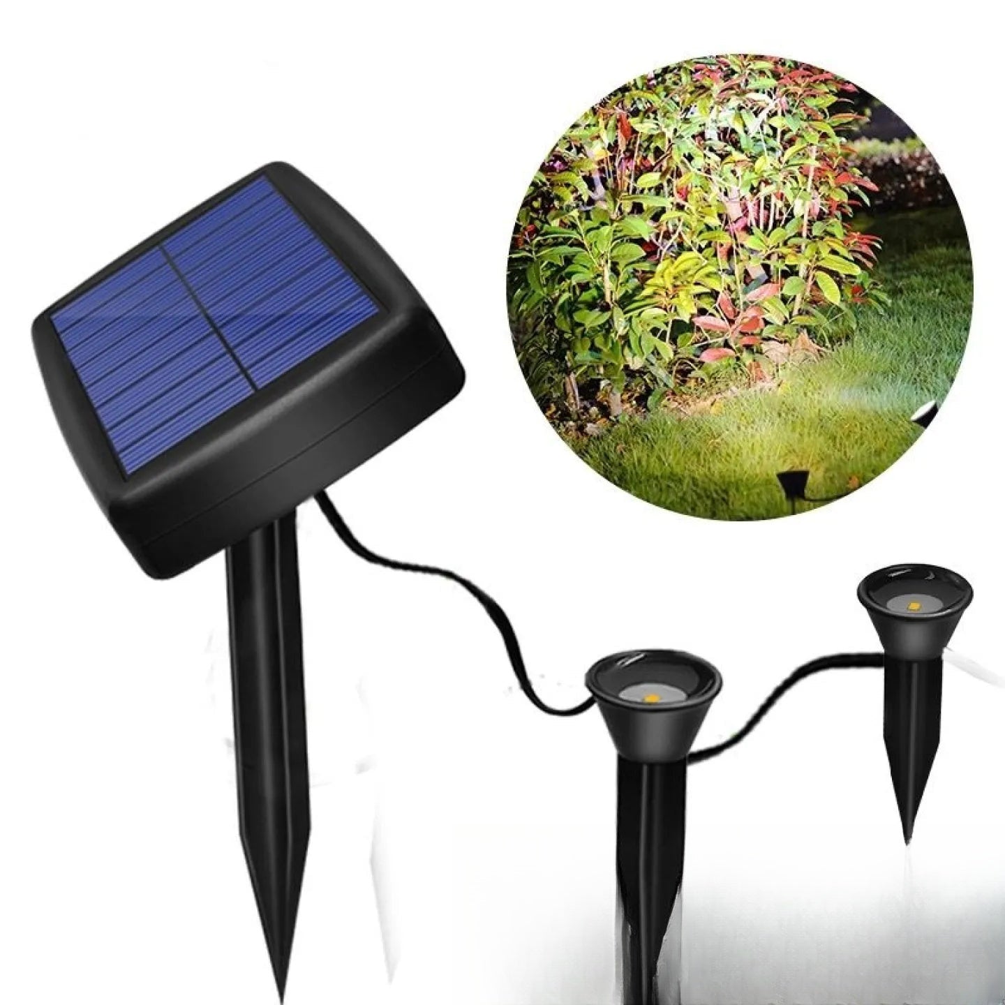 Spot solaire pour plante LED éclairage d'accentuation jardin