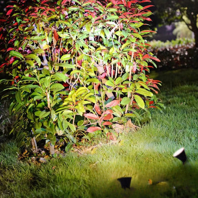Spot solaire pour plante éclairant un massif de jardin la nuit