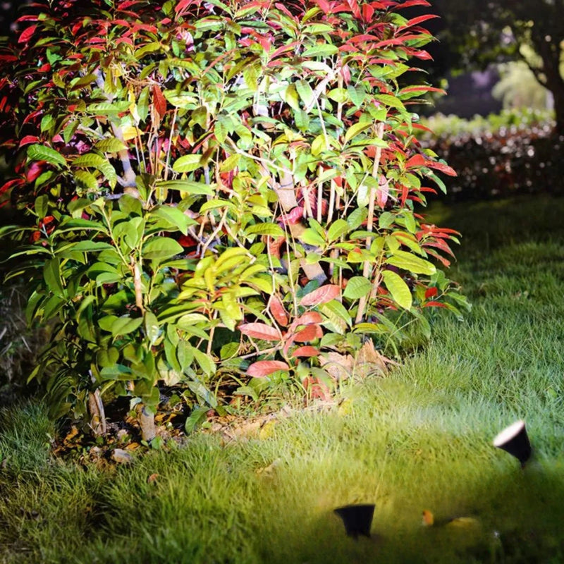 Spot solaire pour plante LED éclairage d'accentuation jardin