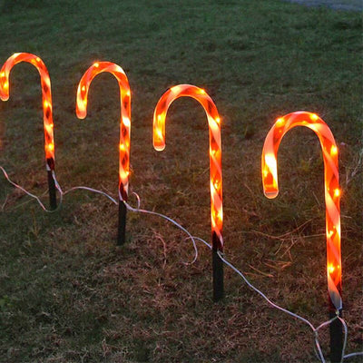 https://www.magic-solaire.com/wp-content/uploads/2020/11/sucre-d-orge-solaire-jardin.jpg