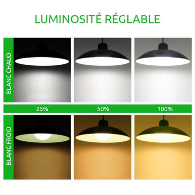 https://www.magic-solaire.com/wp-content/uploads/2021/07/suspension-exterieure-solaire-led.jpg