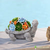 TORTUE SOLAIRE JARDIN