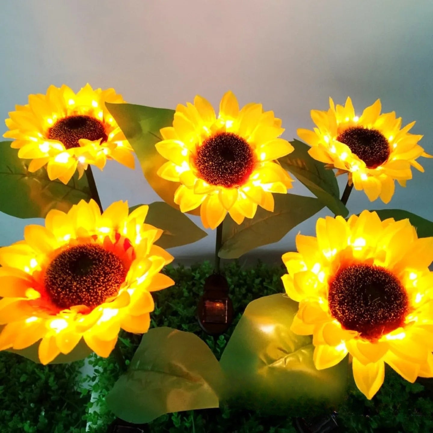 Fleur Solaire Tournesol Lumineux Décoration Jardin