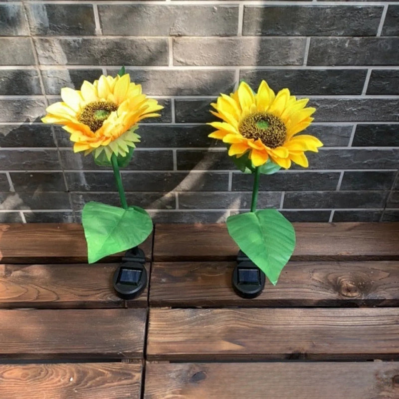 Fleur Solaire Tournesol Lumineux Décoration Jardin